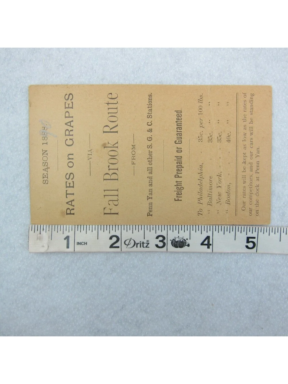 1888 Grapes Rate Card Syracuse Geneva & Corning Railway Fall Brook Route NY RARE